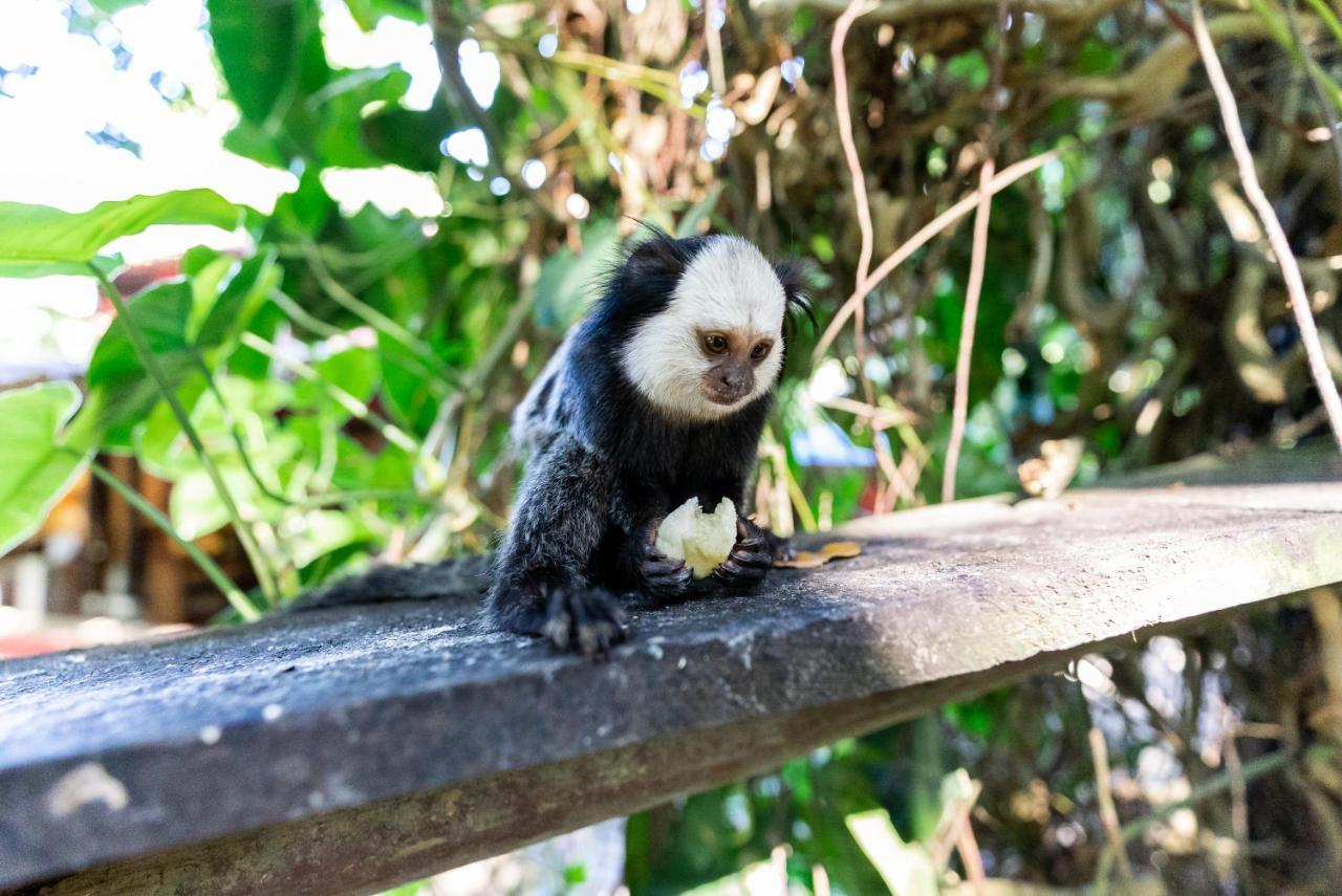 Mata N'Ativa Pousada Trancoso Kültér fotó