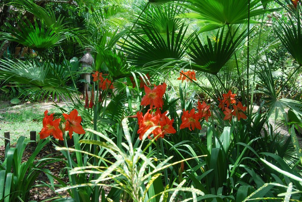 Mata N'Ativa Pousada Trancoso Kültér fotó