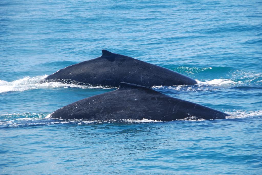 Mata N'Ativa Pousada Trancoso Kültér fotó