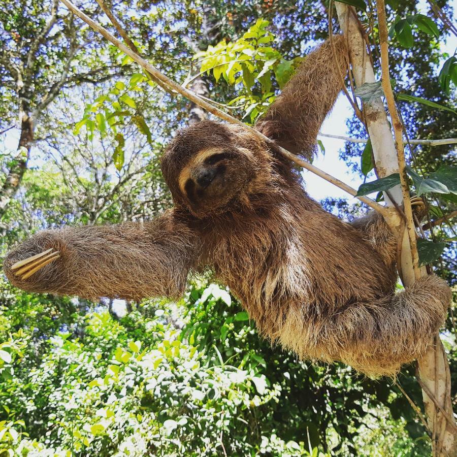 Mata N'Ativa Pousada Trancoso Kültér fotó