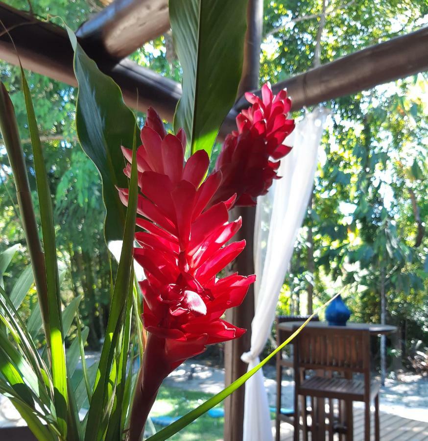 Mata N'Ativa Pousada Trancoso Kültér fotó